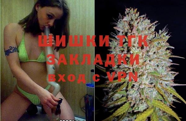шишки Балабаново