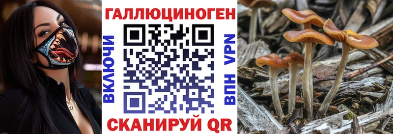 Псилоцибиновые грибы GOLDEN TEACHER  кракен онион  Унеча 